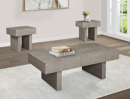 Modern Style Coffee and End Table